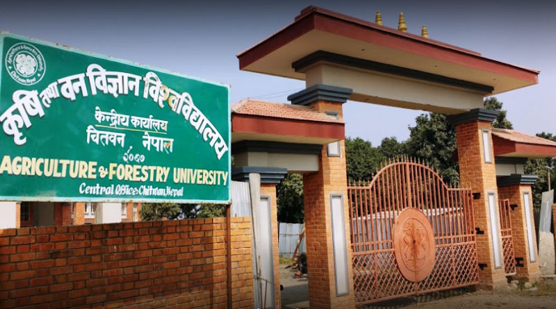 तीतेपातीको स्यानिटाइजर